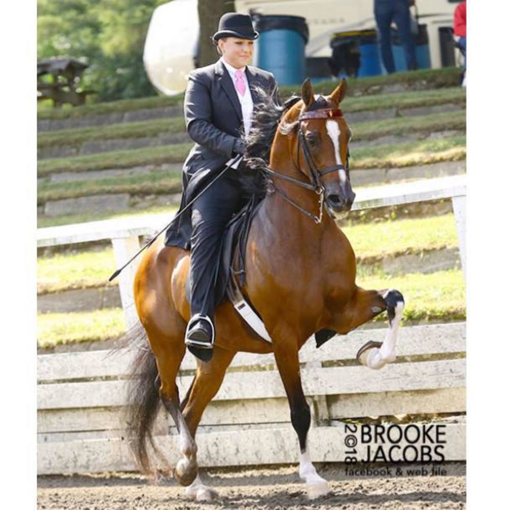 Meet your Posher, Kayleigh